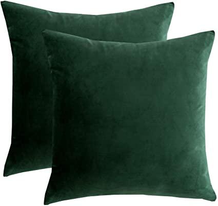 RainRoad Velvet Decorative Throw Pillow Covers Cushion Cover Pillow Case for Sofa Couch Bed Chair,Soft Square Dark Green Throw Pillows 18x18 Inch,Set of 2