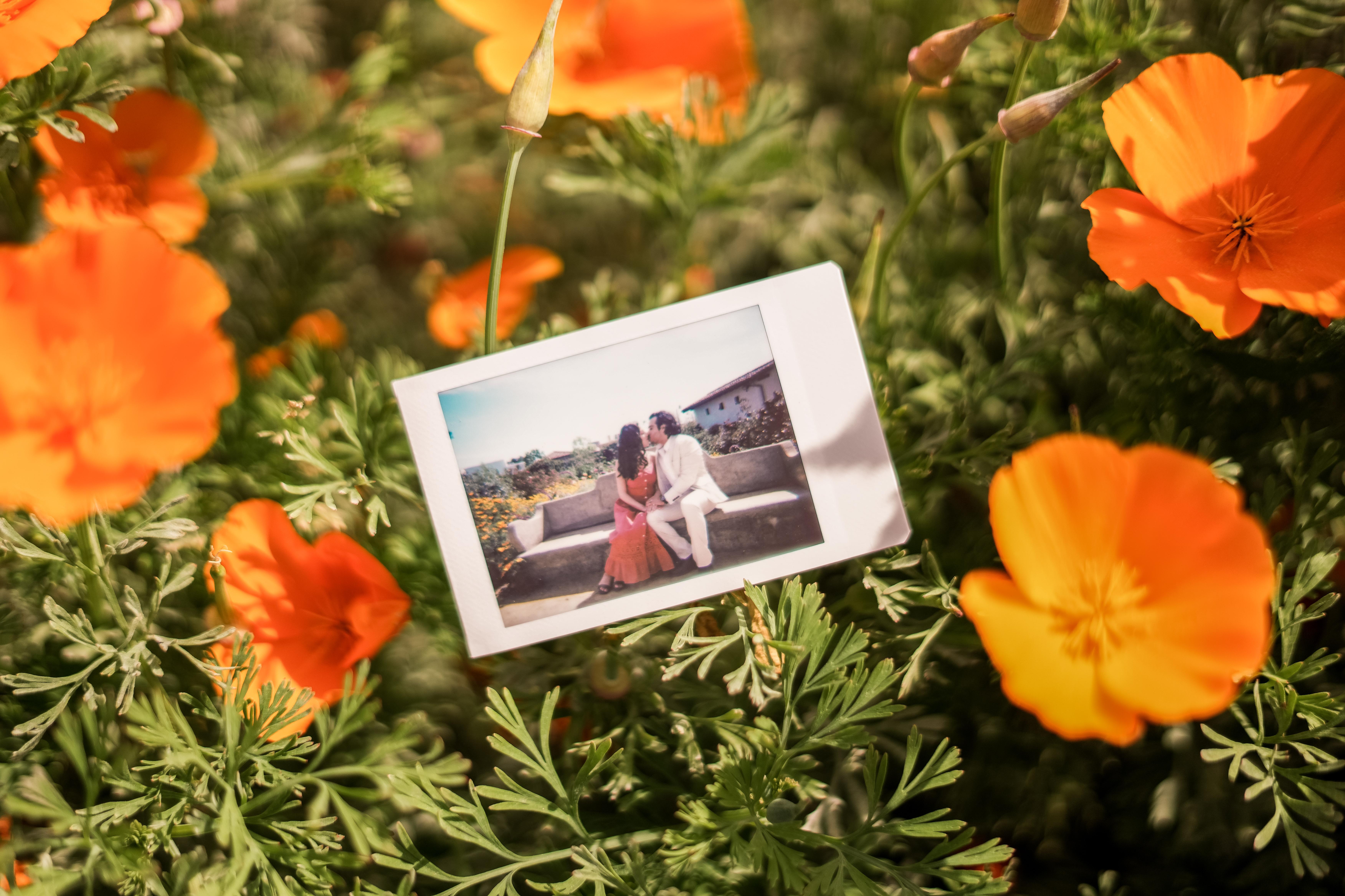 c248eb69-4c07-43e4-90f5-2a5236b5bf52