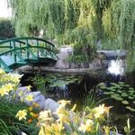 MSU Horticulture Gardens