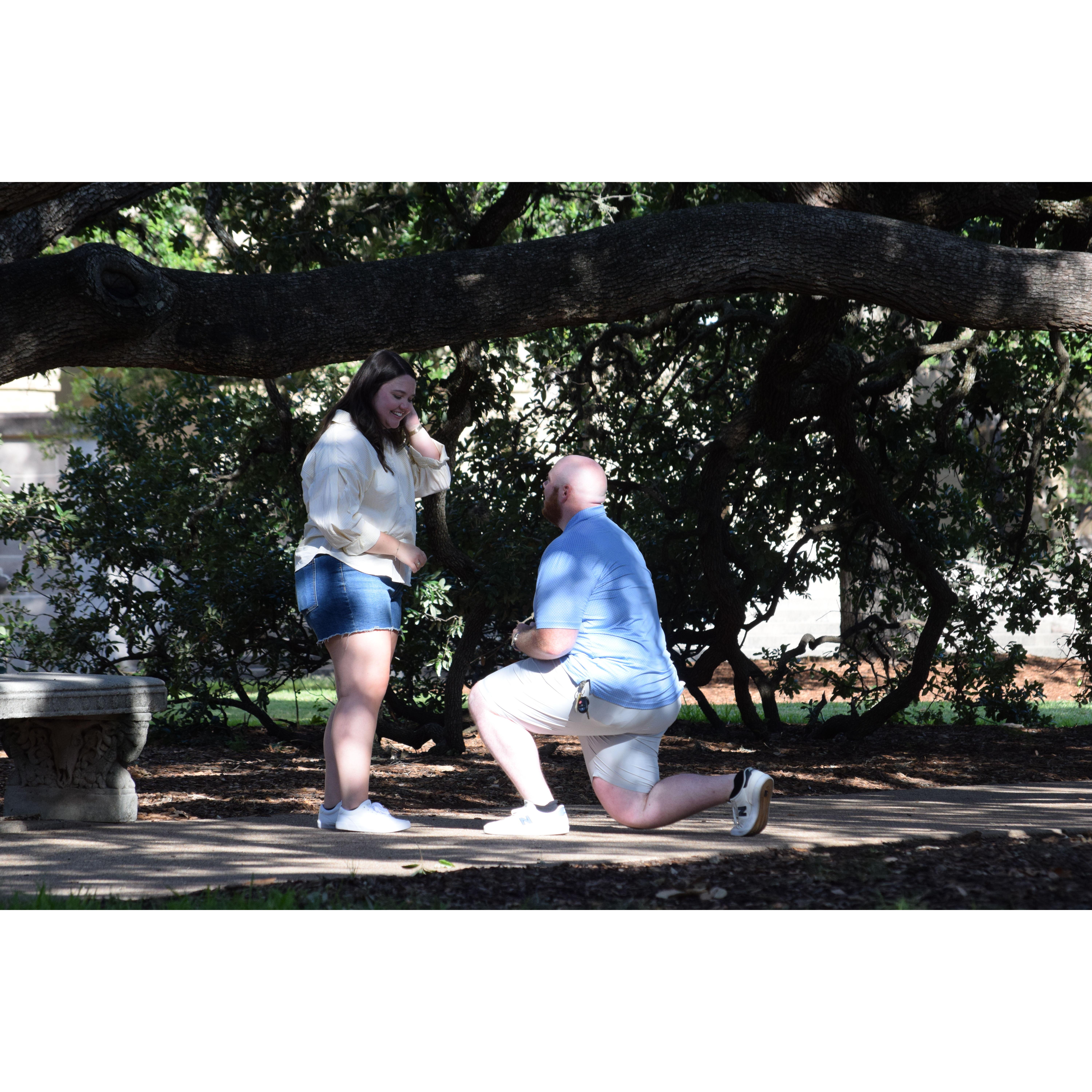 We got engaged under the Century Tree on Texas A&M's campus on 6/6/25!