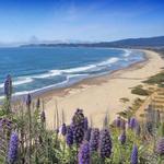 Stinson Beach