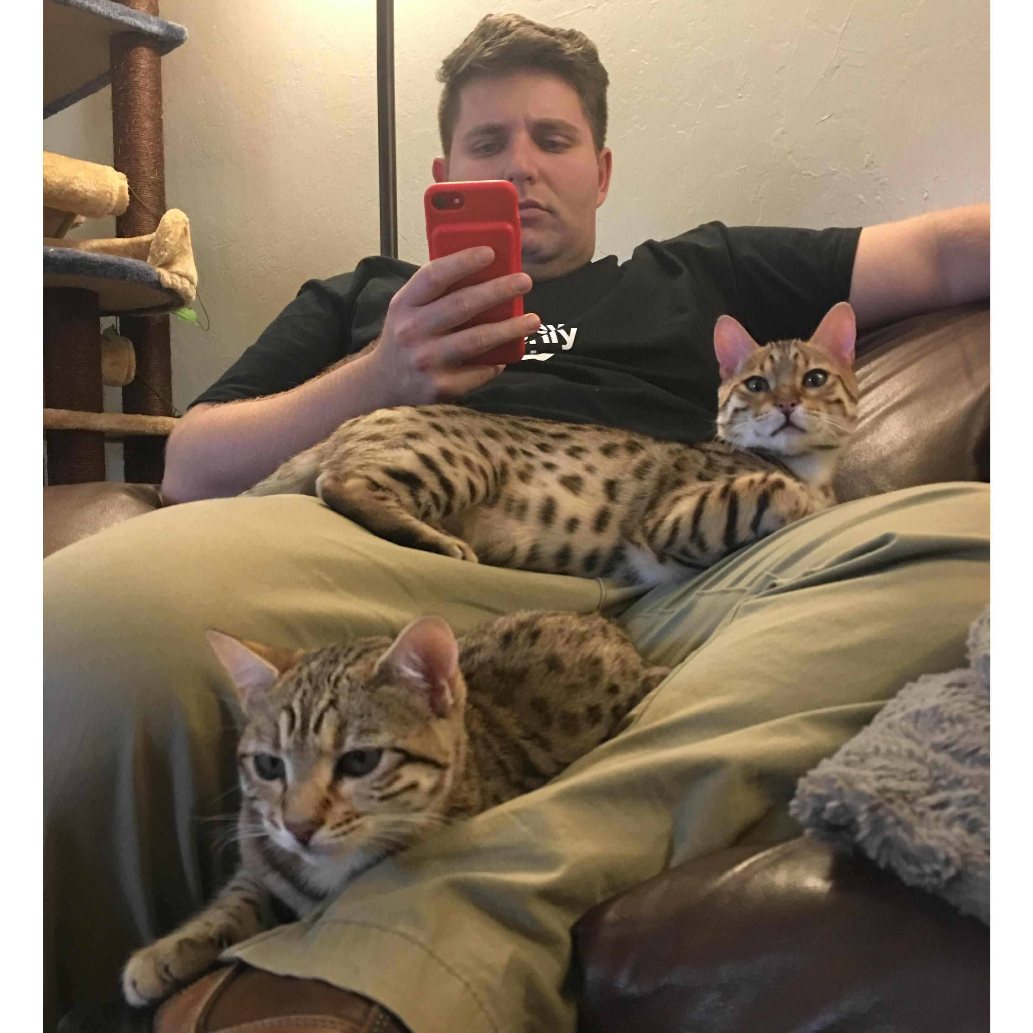 Cat Daddy