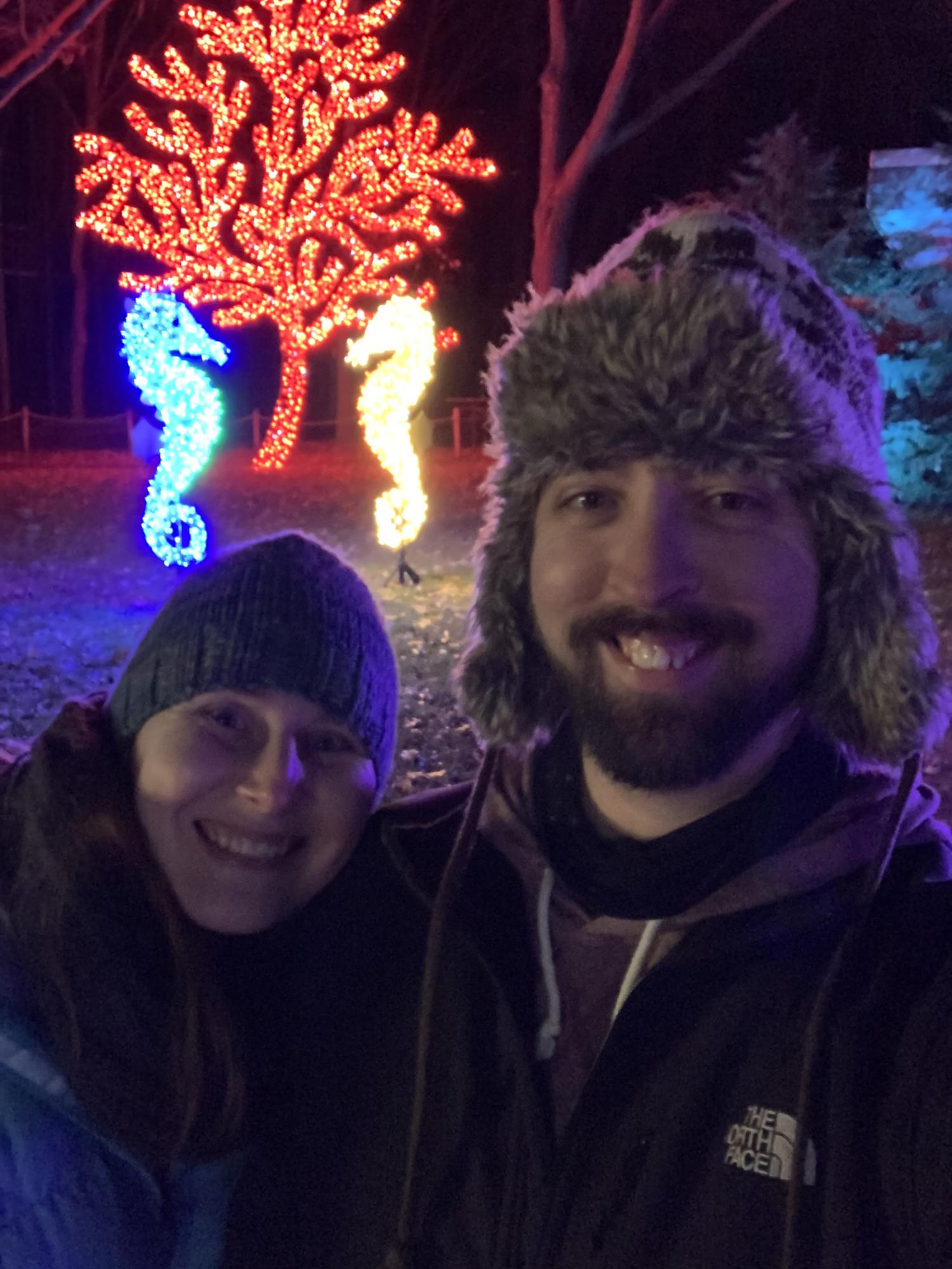 Zoo lights at Milwaukee County Zoo