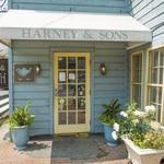 Harney & Sons Tea