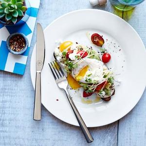 Williams Sonoma Open Kitchen Dinner Plates