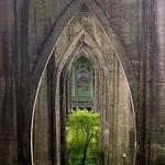 Cathedral Park