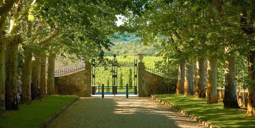 The Wedding Website of Allison Yockin and Joseph Pollera