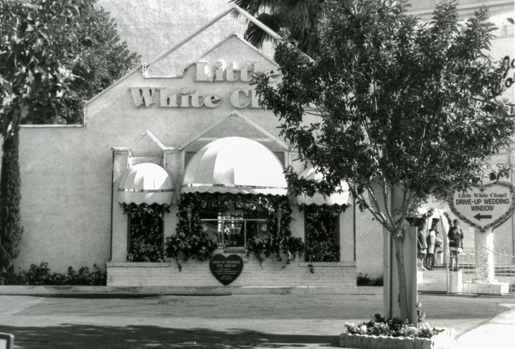 The Wedding Website of Fatima Santiago and William Allen