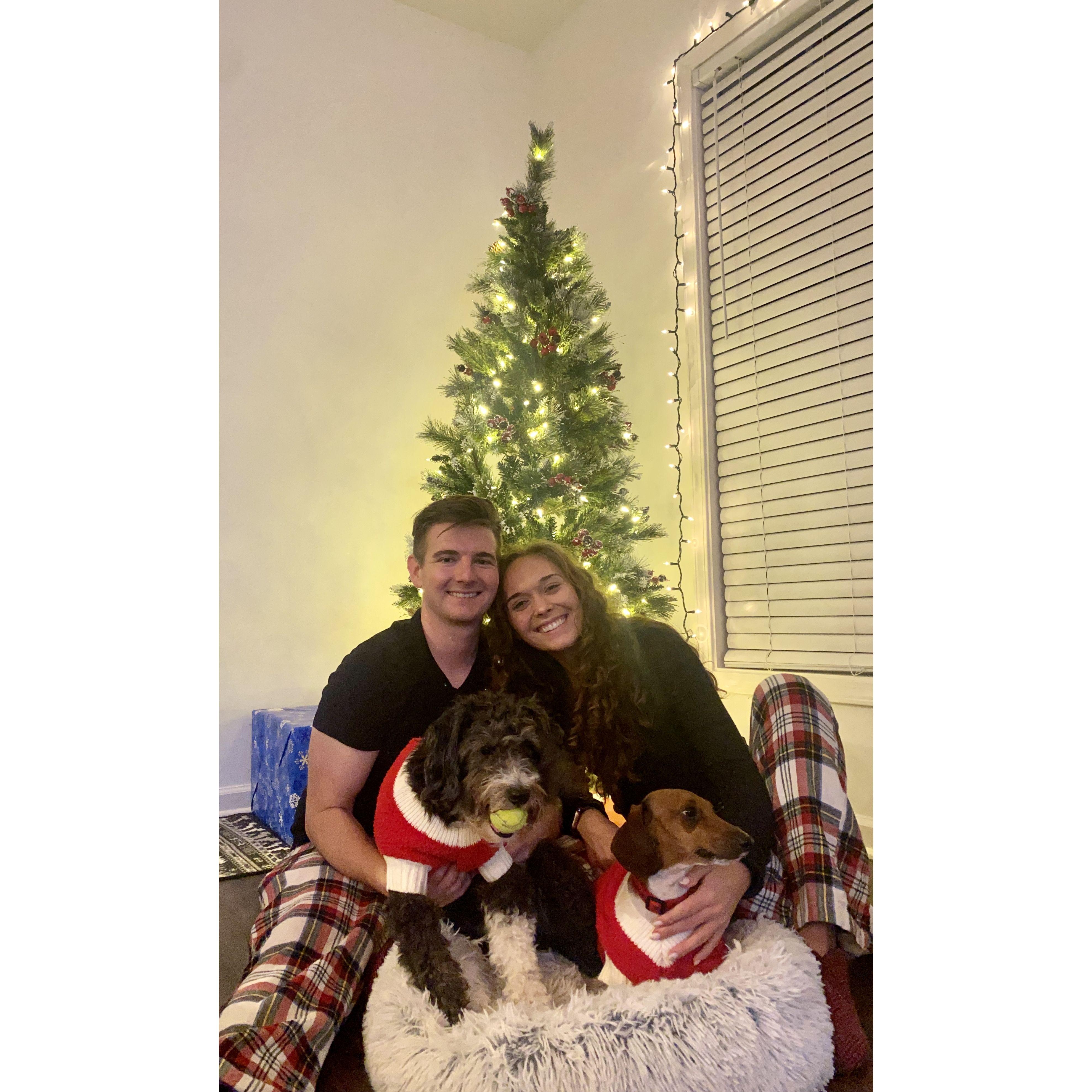 Our first attempt at taking pictures for Christmas cards at home