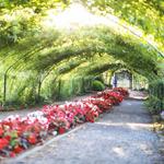 Point Defiance Park