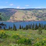 Mosier Plateau