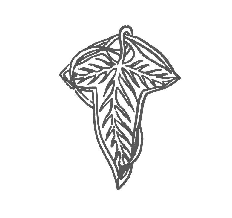 The Wedding Website of Jaclyn Waddell and Scott Waddell