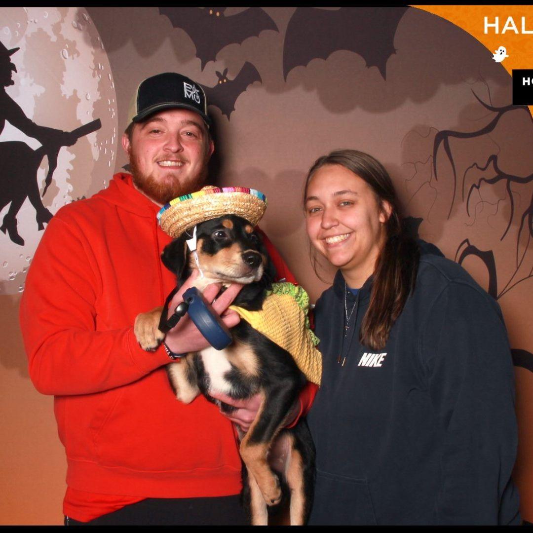 Moose's first Halloween