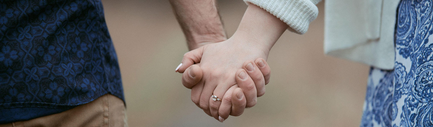 The Wedding Website of Rebecca Wexler and Stephen Wildner
