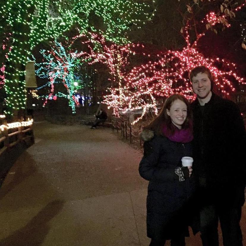 December 2014 - Zoo Lights in Chicago's Lincoln Park!