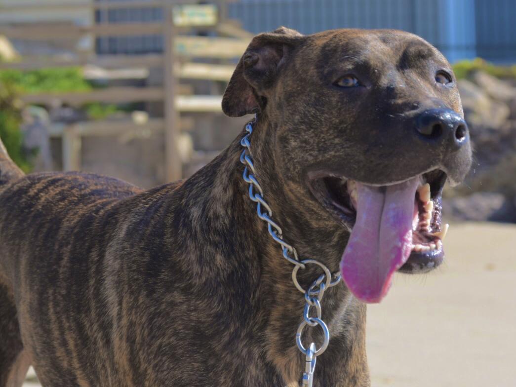 The Wedding Website of Ana Arias and Kevin Burns