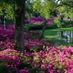 Airlie Gardens