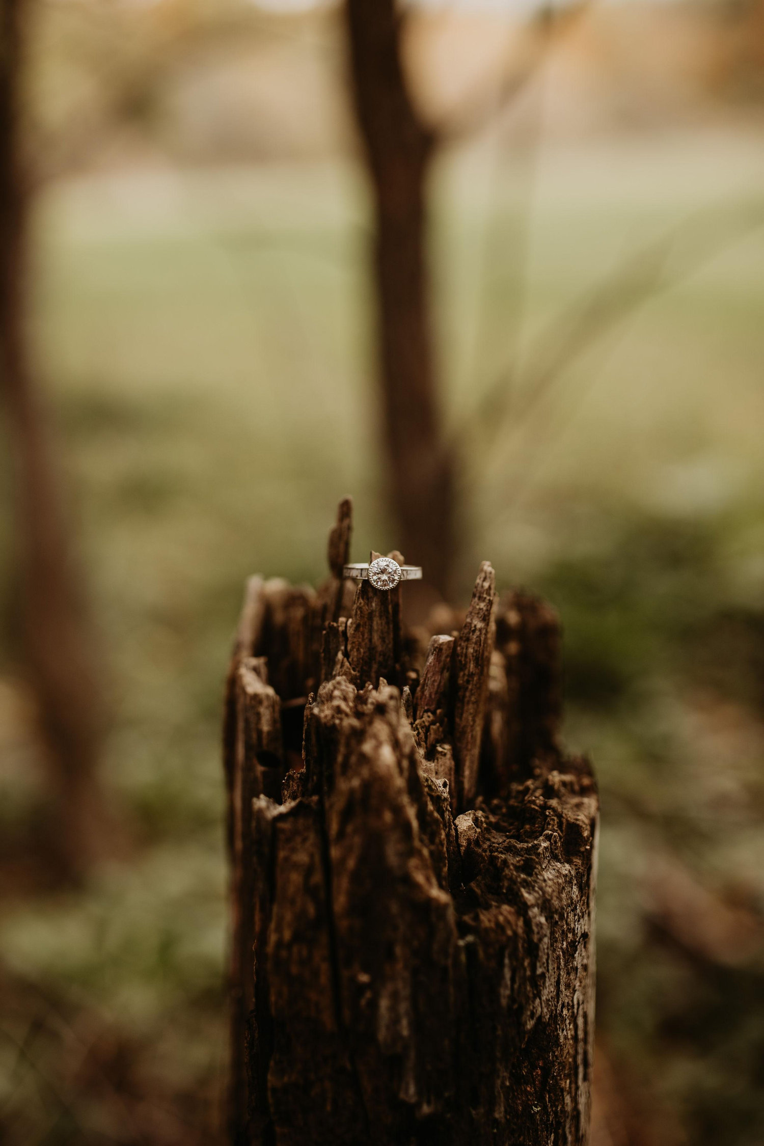The Wedding Website of Kendra McDonald and Kyle Norton