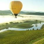 Yarra Valley Wine Tasting Tours