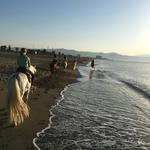 Activity - Horseback Riding on the Beach