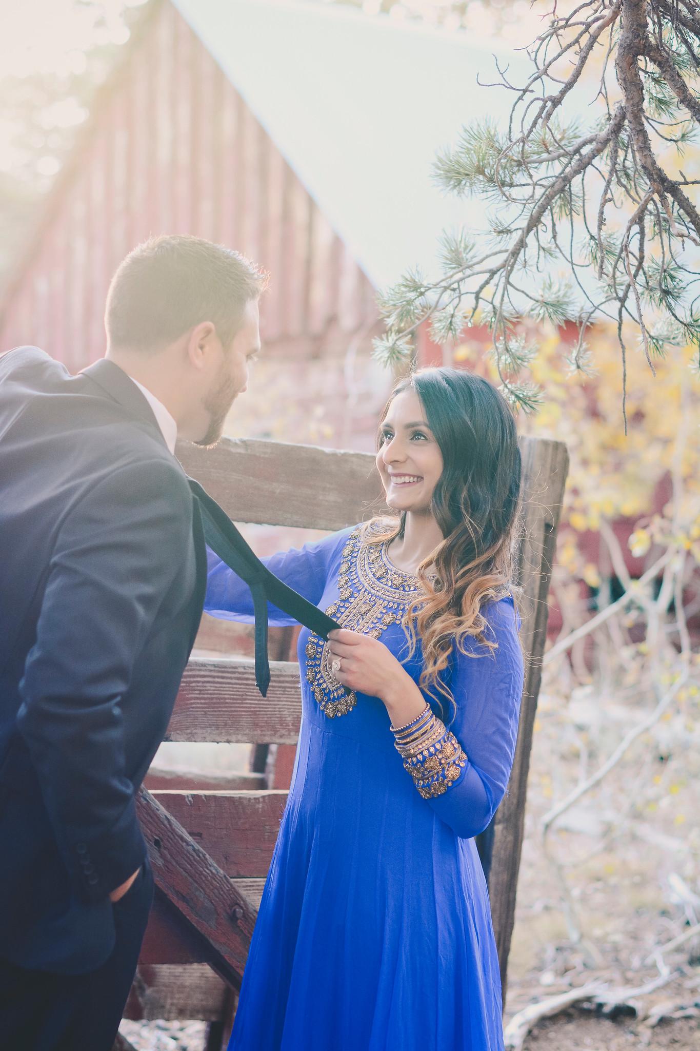 The Wedding Website of Mike Daniels and Meena Bassi