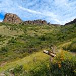 South Table Mountain (Short Hike)