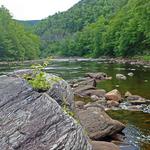 Whitewater Rafting Deerfield River