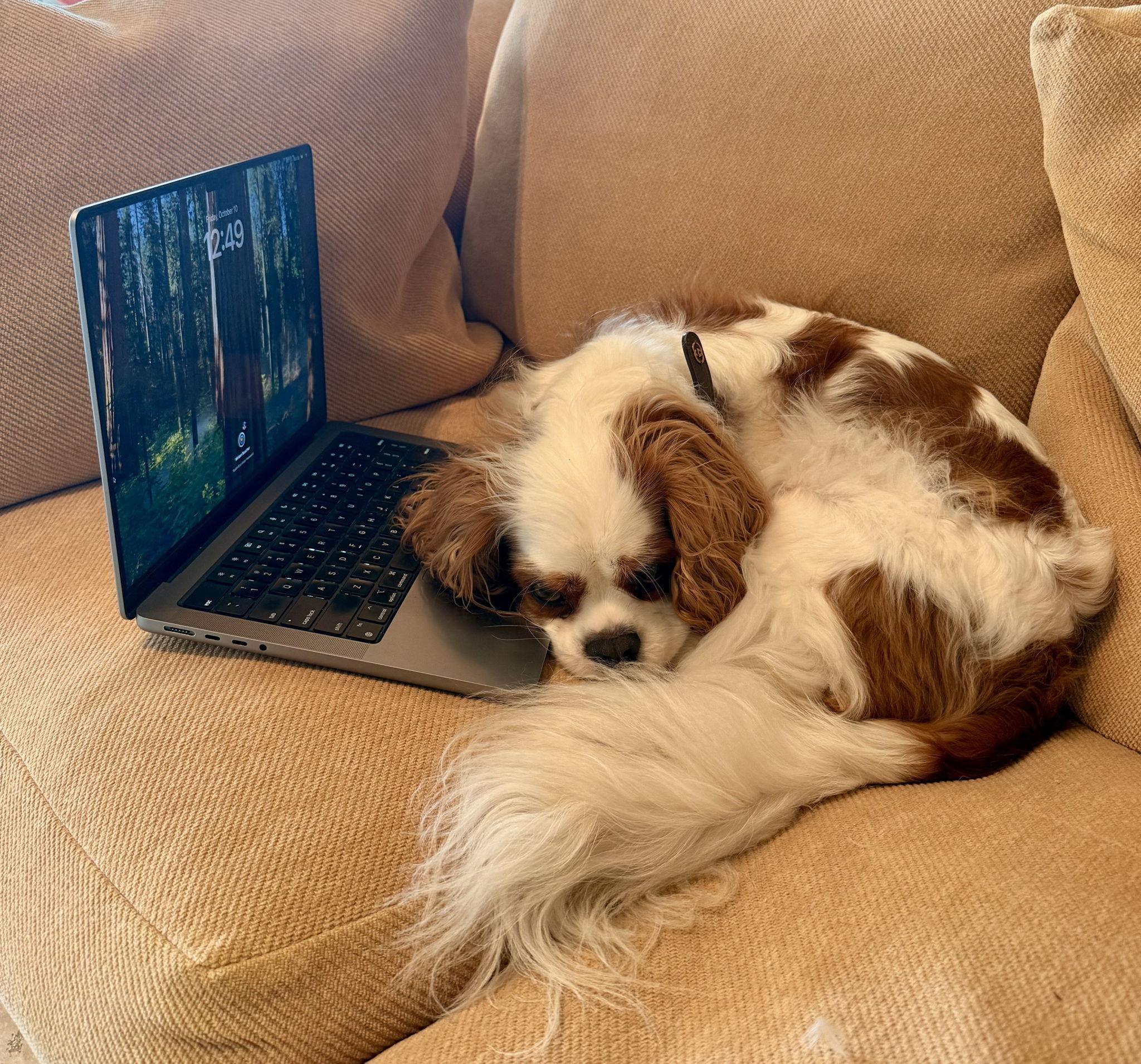 The Wedding Website of Mim Buscher and Davey Roberts