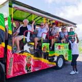 Open Air Island Tour