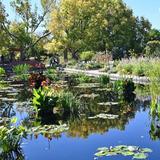 Denver Botanic Gardens
