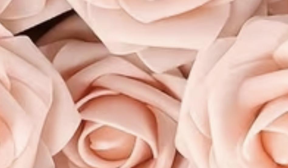 The Wedding Website of Lauren Mogg and Nate Rowley