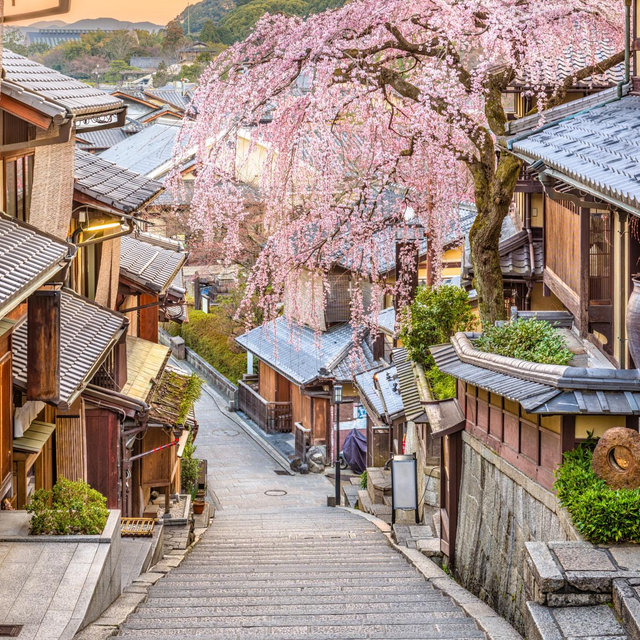Japan Honeymoon