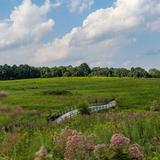 Longwood Gardens