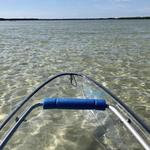 Clear Kayaking Tampa Bay - Tours By See Through Adventures