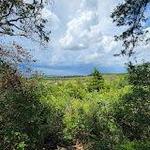Cedar Ridge Preserve