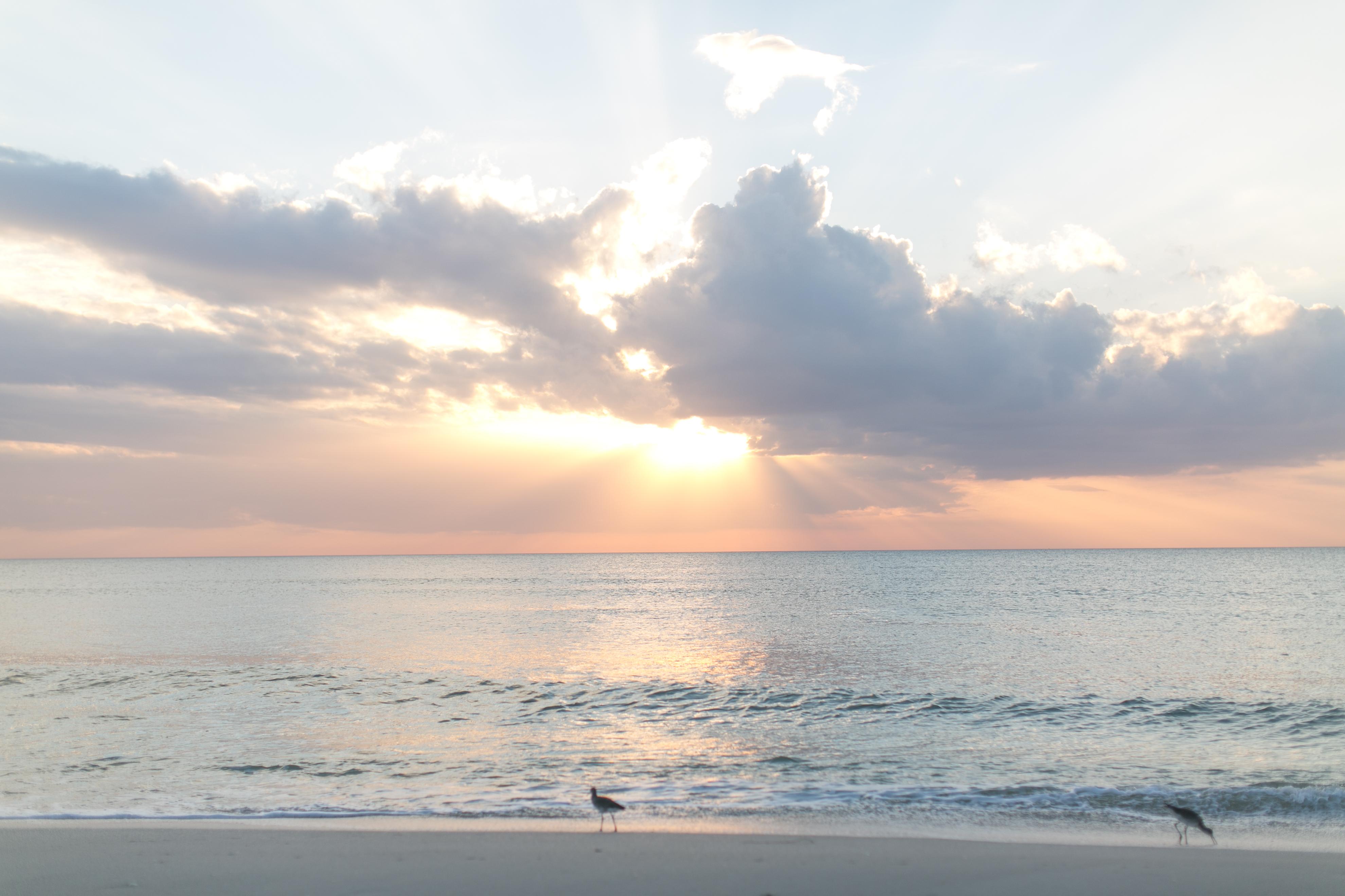 The Wedding Website of Katie Cohen and Patrick Williams
