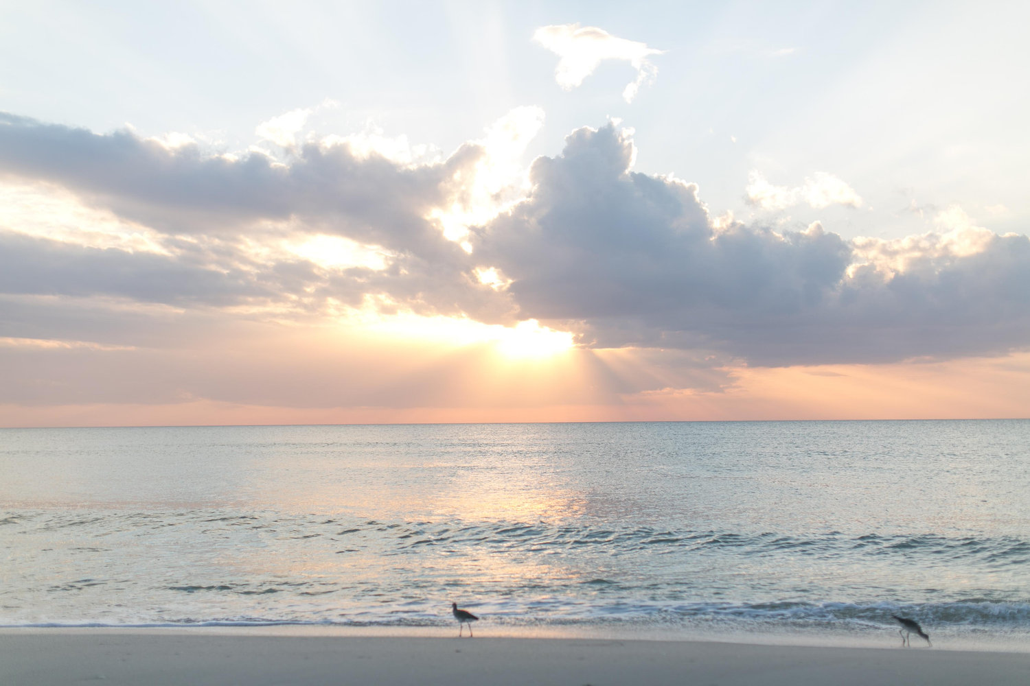 The Wedding Website of Katie Cohen and Patrick Williams