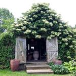 Snug Harbor Farm