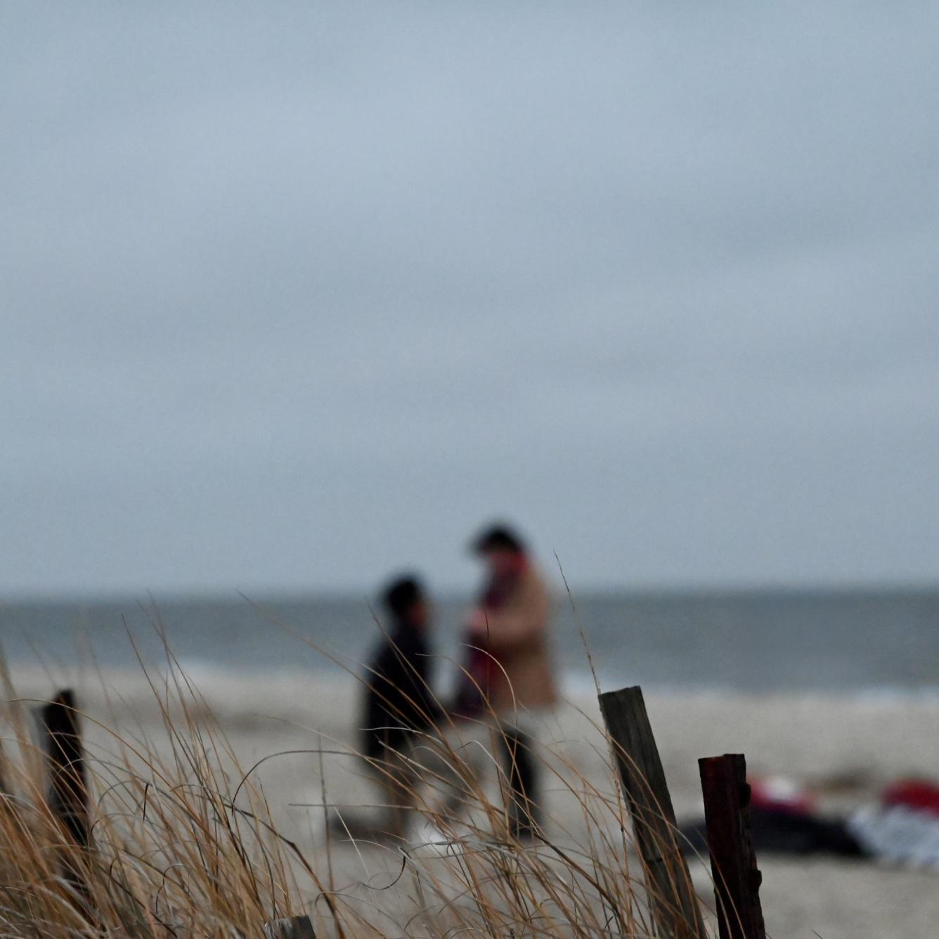 Josh proposing :)