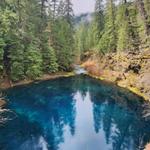 Tamolitch Falls (Blue Pool)