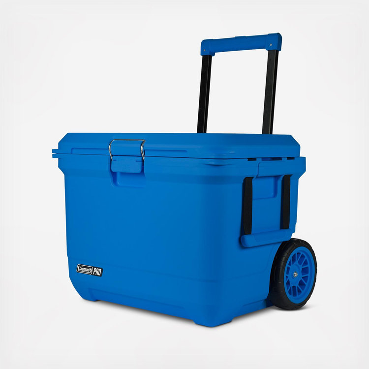 Coleman, Pro 55-Quart Hard Cooler | Zola