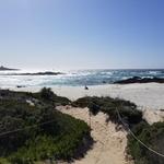 17 Mile Drive-Seal Rock Beach