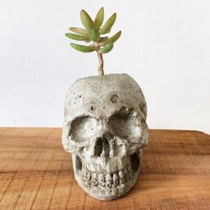 Concrete skull succulent planter