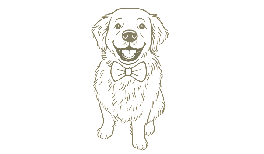 Footer image