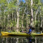 Kayak Tour