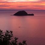 Scuba Diving, Snorkeling and Whale Watching