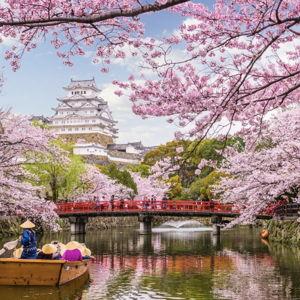 Our Japanese Honeymoon