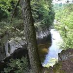 Chesterfield Gorge Natural Area