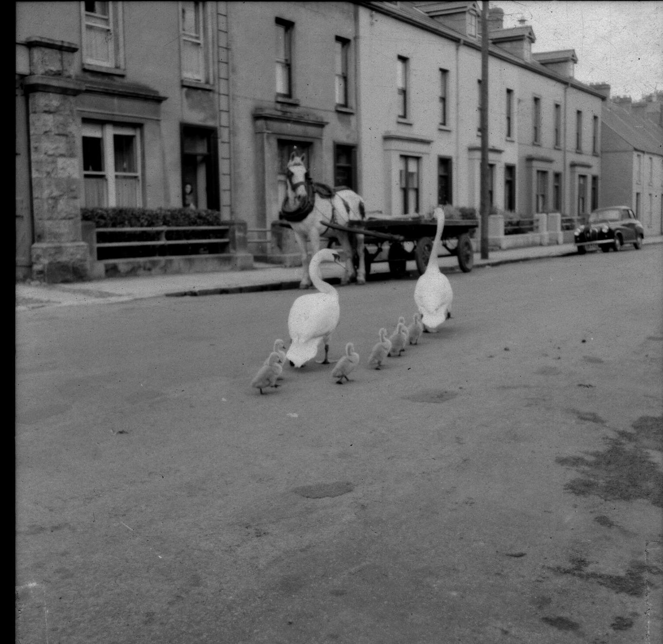 The Wedding Website of Sarah Eccles and James McKiernan