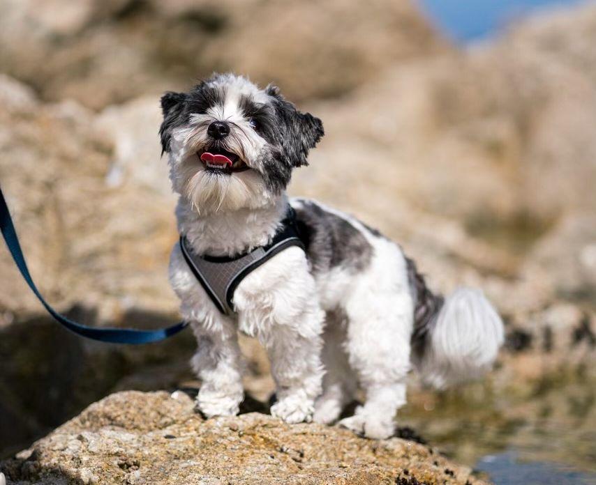 The Wedding Website of Garrett Sachs and Sarah Kiker